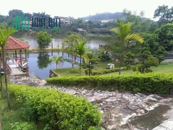 Cực Phẩm Đầu Tư Sinh Lời 3100m2 Đất Phú Cát,Quốc Oai,Hn.Liên Hệ Tiến Mai 0586229999