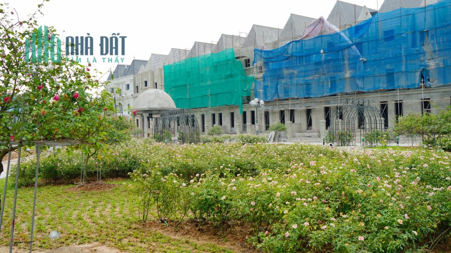 Bán gấp biệt thự Tân cổ điển Đông tứ mệnh 150m2 cửa ngõ Ciputra giá yêu thương 38 tỷ