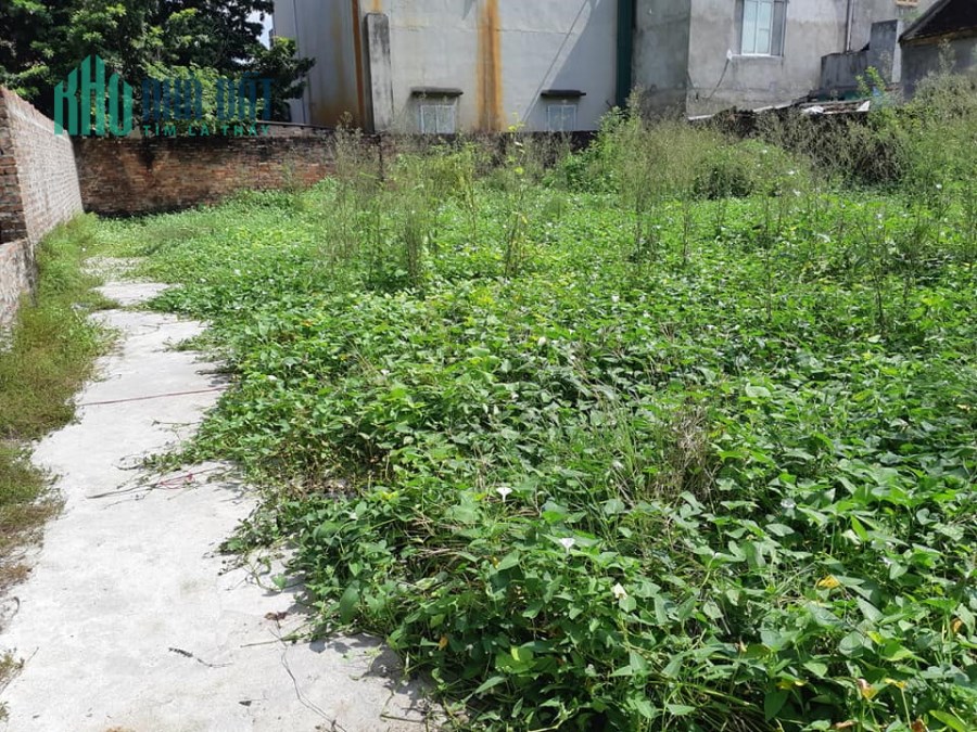 Bán đất phố Ngô Gia Tự,kinh doanh đẹp,ô tô đỗ cửa,80m,mt 4.5m,giá 3.55 tỷ.Lh:0989126619.