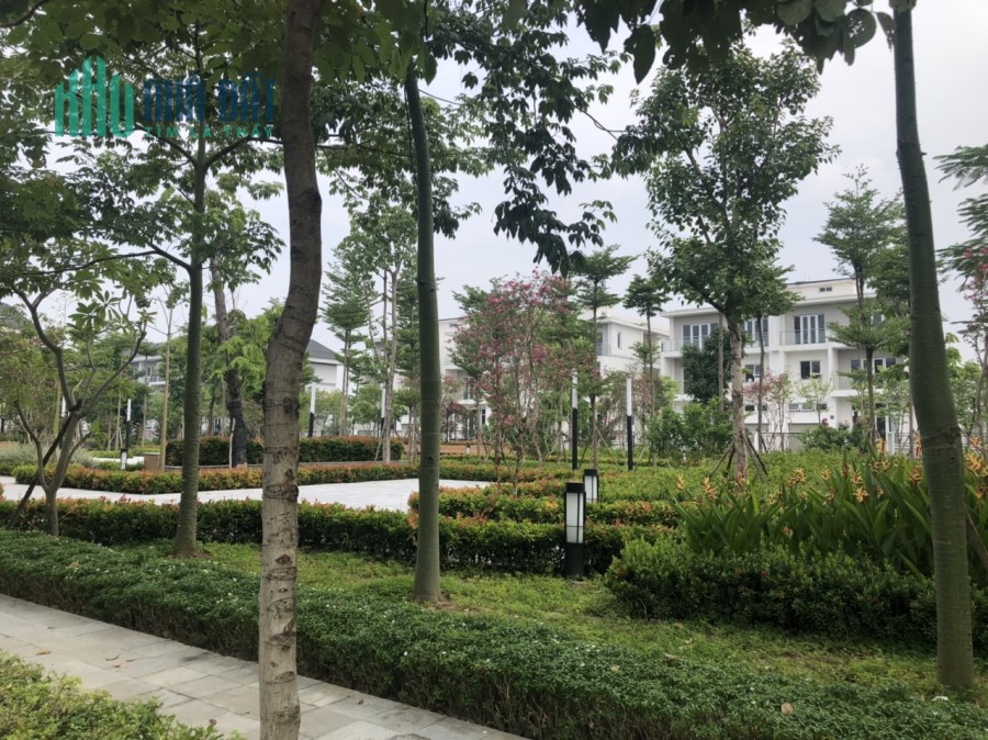 Bán biệt thự ciputra dãy K6 view vườn hoa giá đầu tư 0904718336
