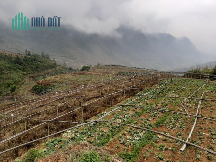 Cần bán 27.766m2 đất sinh thái xã San Sả Hồ, Sapa, giá chỉ hơn 500.000đ/m2