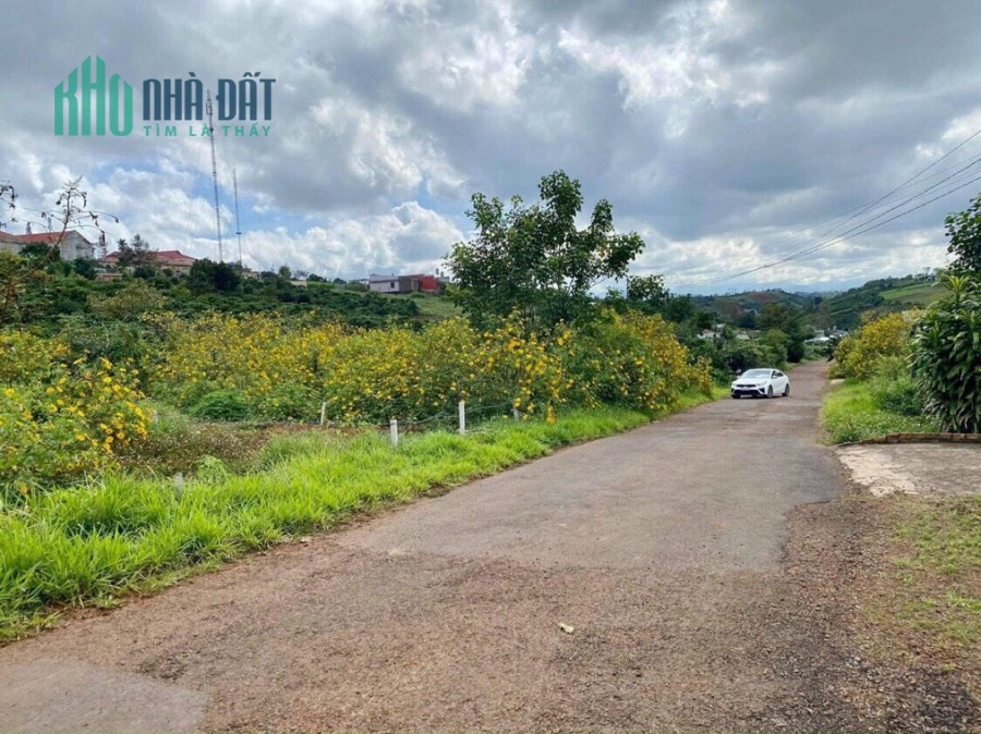 Bán gấp đất biệt thự Bảo Lộc 200m2 giá 800tr