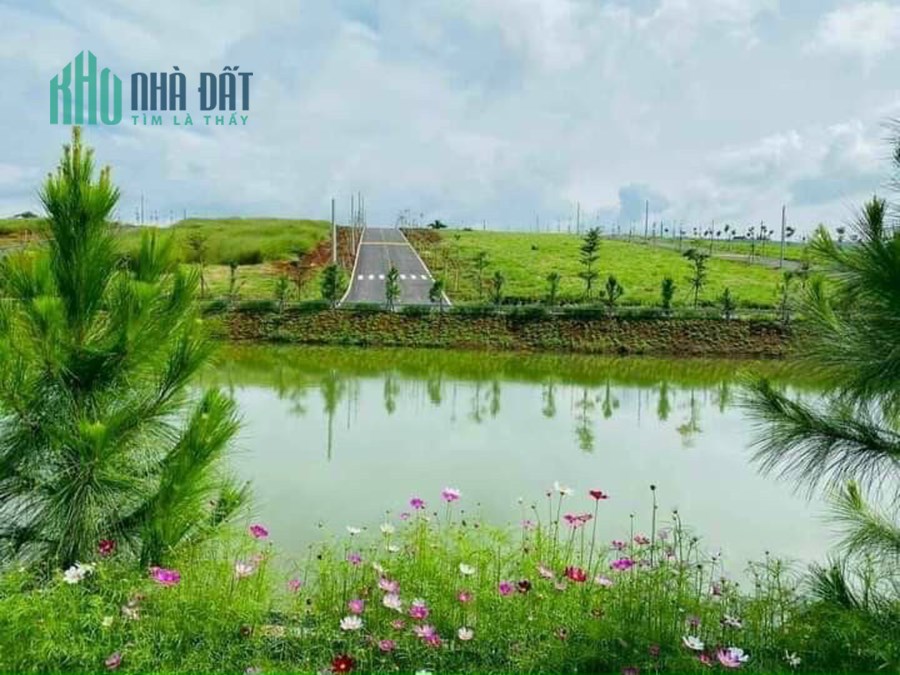 Đất nền Bảo Lộc phân lô chỉ từ 650 triệu/nền. Sổ đỏ và thổ cư từng nền 100m2.