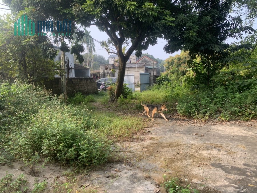 BÁN ĐẤT SỔ ĐỎ 2300M GIÁ RẺ BẤT NGỜ TẠI THỦY XUÂN TIÊN- CHƯƠNG MỸ- HÀ NỘI