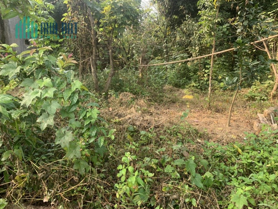 BÁN ĐẤT SỔ ĐỎ 2300M GIÁ RẺ BẤT NGỜ TẠI THỦY XUÂN TIÊN- CHƯƠNG MỸ- HÀ NỘI