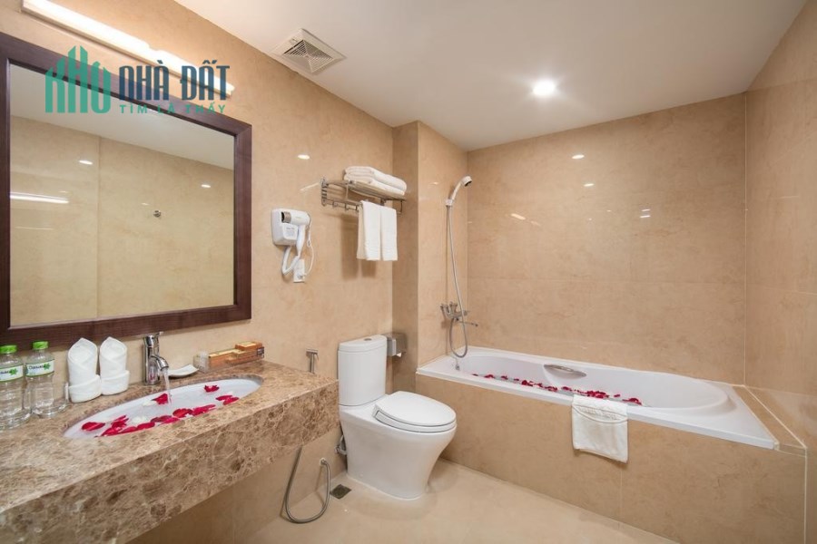 Cần bán khách sạn 9T Đào Tấn MT:12m-190m2,doanh thu 480tr/thg