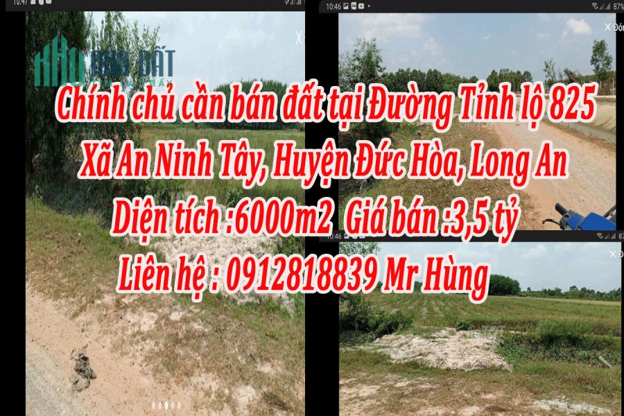 Chính chủ cần bán đất tại Đường Tỉnh lộ 825, Xã An Ninh Tây, Huyện Đức Hòa, Long An