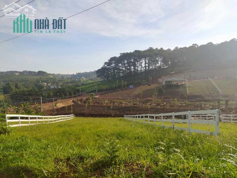 600 triệu nền đất biệt thự, tặng 3 chỉ vàng khi mua đất