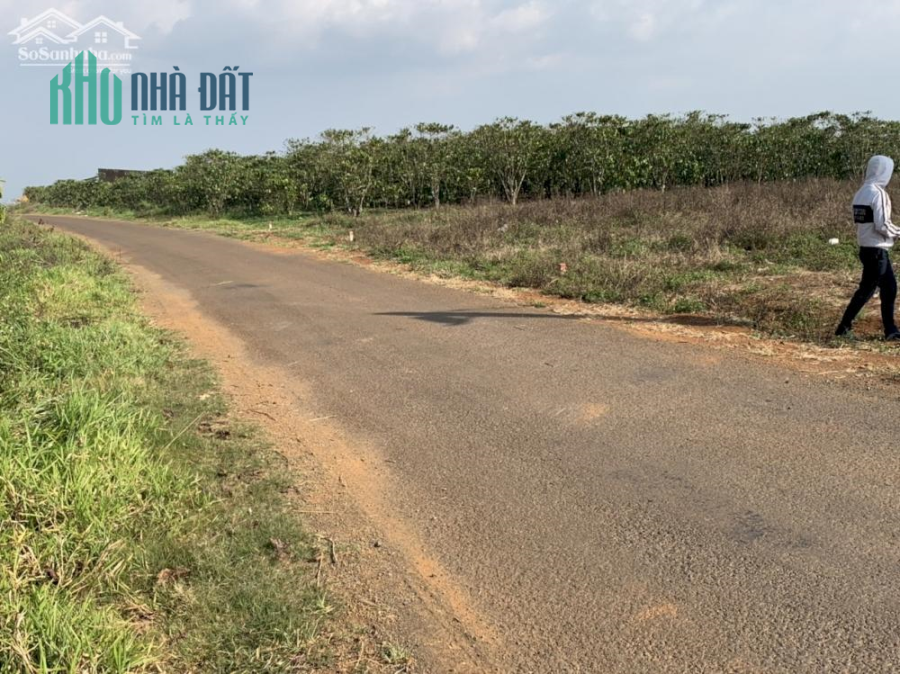 600 triệu nền đất biệt thự, tặng 3 chỉ vàng khi mua đất