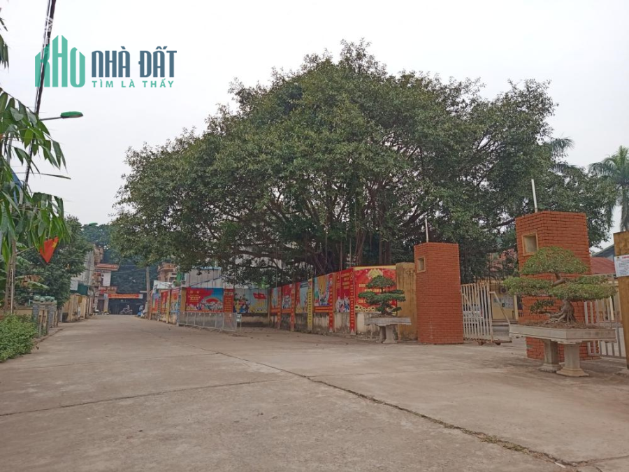 Bán 70m2 đất xã Hạ Bằng, gần UBND, trường cấp I, II, khu Tổ hợp nhà máy Vinsmart, Hanwa.