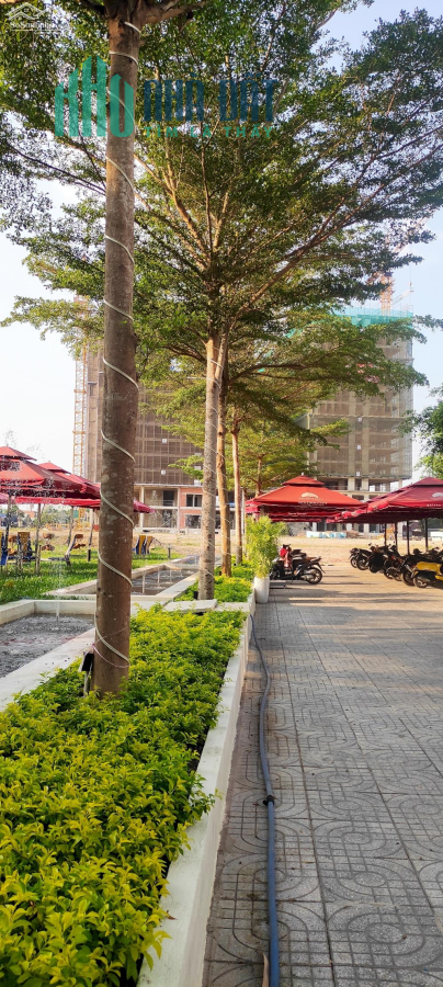 Nhà ở đầu tiên dành cho công viên chức nhà nước tại TP Tây Ninh