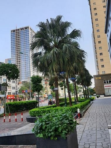 Chuyên Bán! Chung cư Vimeco Nguyễn Chánh, 2pn, 3wc, LH 0975.118822