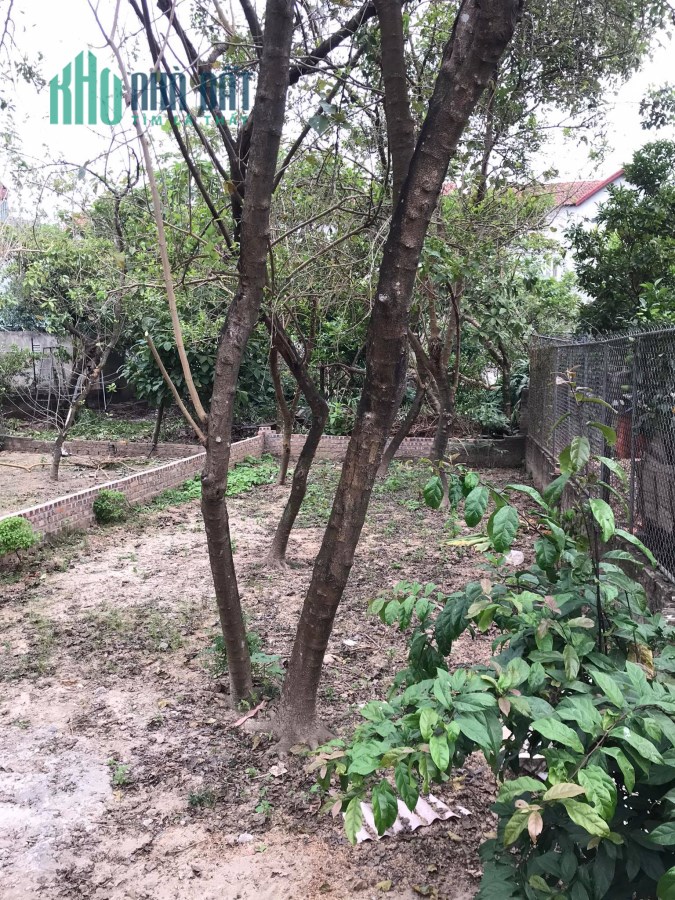 Bán đất Đông Dư Thượng –Thôn 1 50m2 đường nhựa –Gần cầu .0982852808