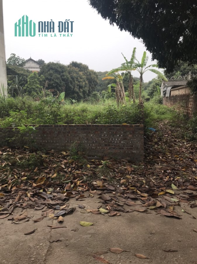 Bán Đất Sổ Đỏ 283m2_Ô Tô Tránh_Phú Thịnh, Minh Phú, Sóc Sơn_4.5 tr/m