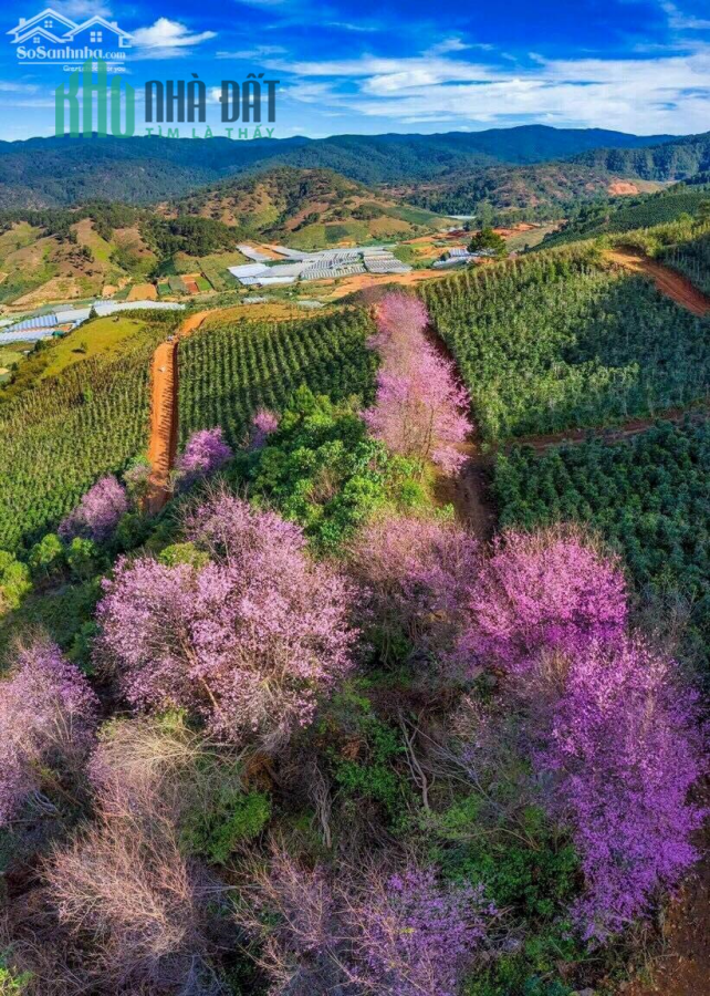 Đất chính chủ Trung Tâm cần bán