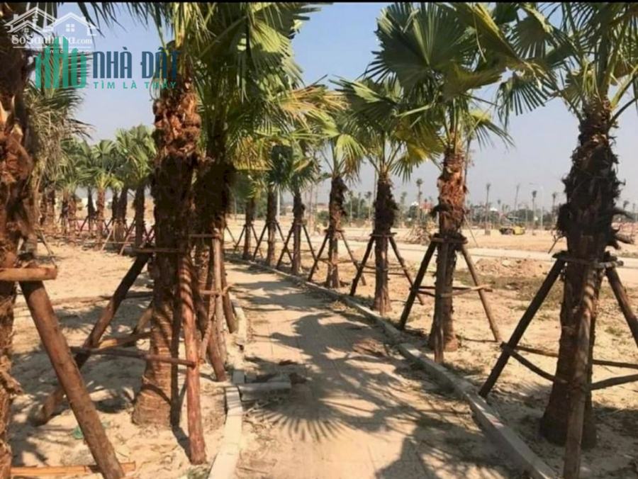Bán Lô đất giá TỐT NHẤT cạnh hồ điều hòa tại Chí Linh Palm City chỉ từ 12tr/m²: 0326 222 555