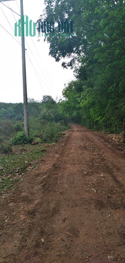 8HA xã quang minh rất đẹp
