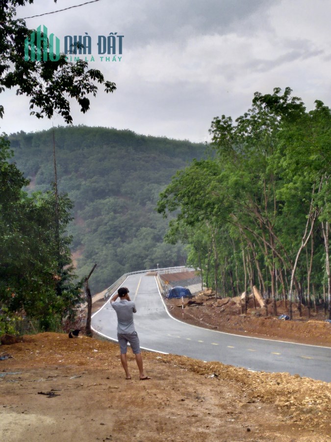 45HA - CÓ SẴN CHỦ TRƯƠNG TRANG TRẠI