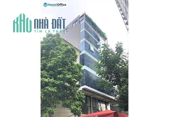 BUILDING MẶT PHỐ CÁT LINH ĐỐNG ĐA- DT 90M2 11 TẦNG 33 TỶ LỢI NHUẬN 6000$/THÁNG