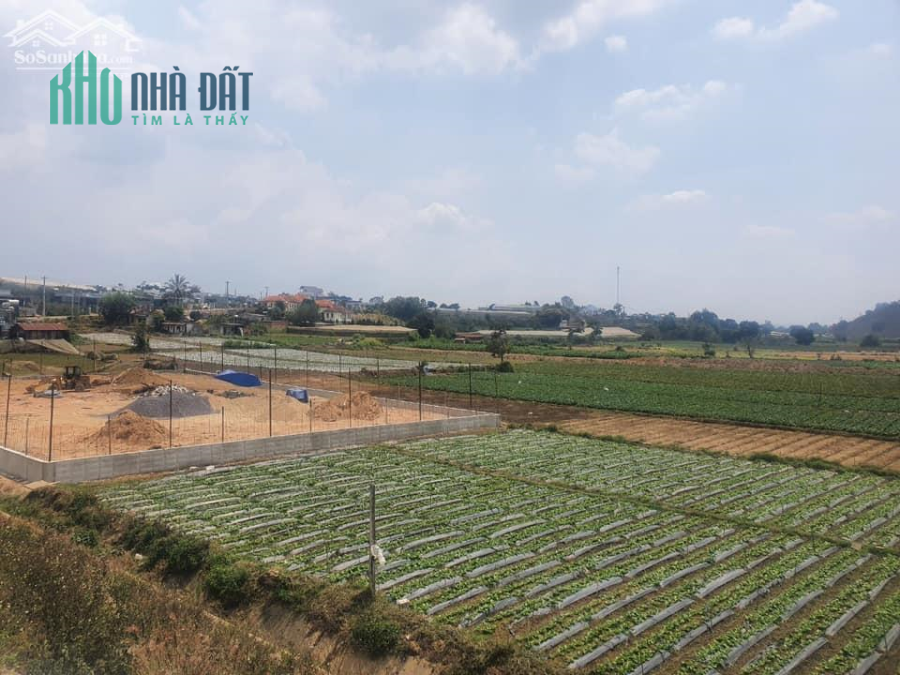 Chính chủ bán đất Đơn Dương - có thổ cư giá chỉ 390 triệu