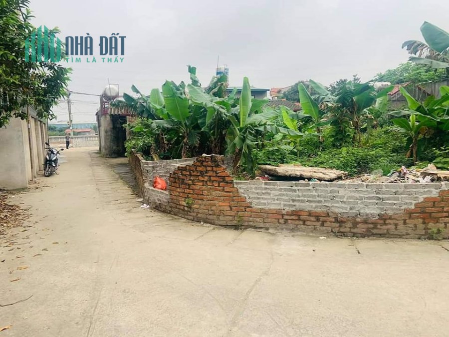 BÁN ĐẤT NAM HỒNG, ĐÔNG ANH 163M, MT 15M. LÔ GÓC, ĐẦU TƯ CHIA LÔ, ĐƯỜNG Ô TÔ. LH: 0976713976.