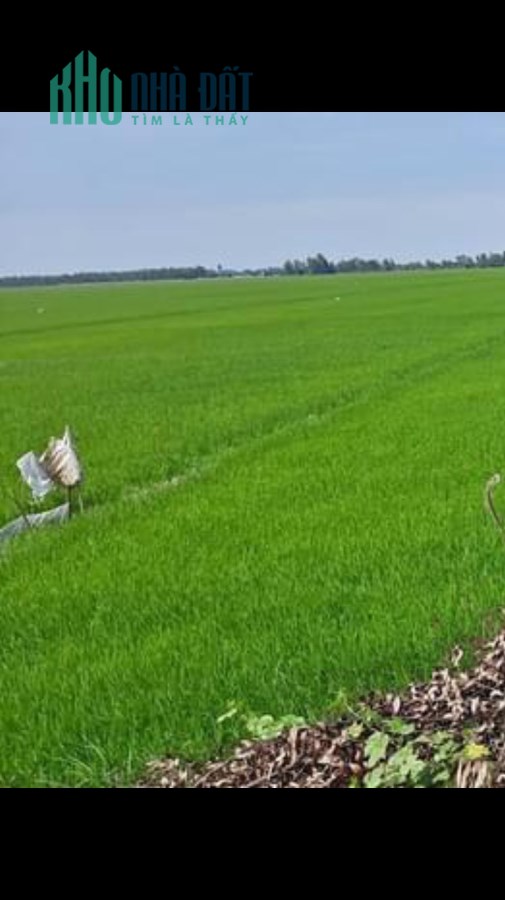 Cần Bán Đất Phường Trung Nhứt Quận Thốt Nốt Cần Thơ
