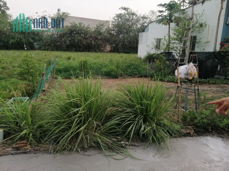 Cần bán lô đất tại phường Phú Mỹ- TP Thủ Dầu Một- Bình Dương