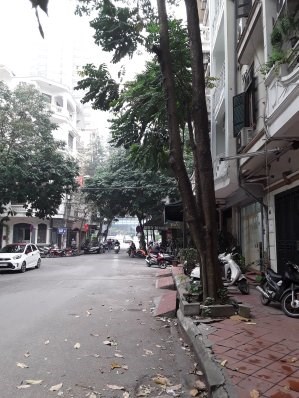 Cho thuê nhà Đầm Trấu 44m2x5 tầng, 11tr, tầng 1 bếp khách trên chia 4 ngủ