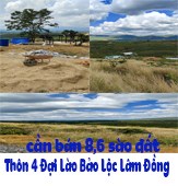 Cần bán đất thôn 4 Đại Lào tp Bảo Lộc tỉnh Lâm Đồng