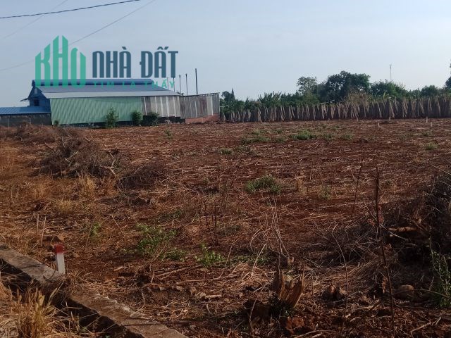 Bán đất thổ cư sổ sẵn gần KCN Đất Đỏ – BRVT mặt tiền đường trong khu dân cư, giá đầu tư Lh