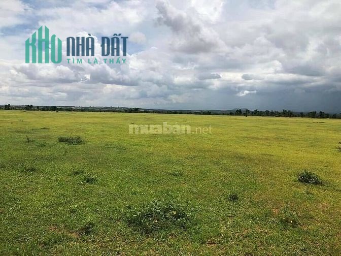 CẦN  LÊN SÀN LÔ ĐẤT SIÊU ĐẸP, VUÔNG VỨT