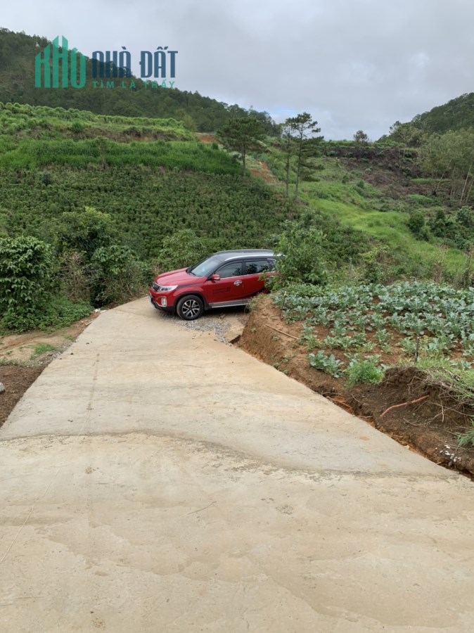 Bán 2,146.2 m2 đất, gần suối Bảo Đại, Cổng Mặt Trời, đường Trần Thái Tông Phường 11 TP. Đà Lạt
