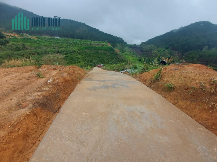Bán 2,146.2 m2 đất, gần suối Bảo Đại, Cổng Mặt Trời, đường Trần Thái Tông Phường 11 TP. Đà Lạt