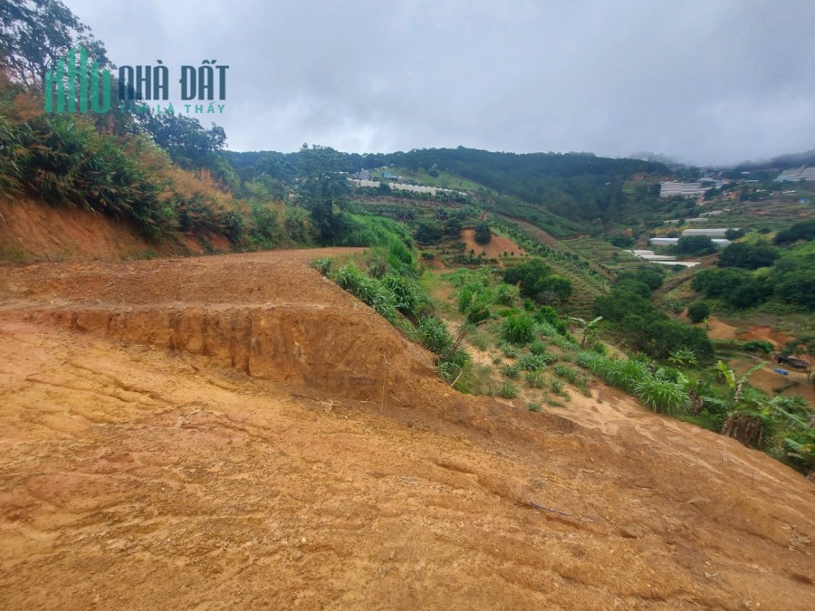 Bán 2,146.2 m2 đất, gần suối Bảo Đại, Cổng Mặt Trời, đường Trần Thái Tông Phường 11 TP. Đà Lạt