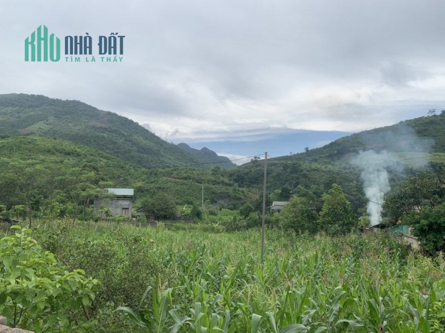 CẦN TIỀN BÁN GẤP 1200M GIÁ RẺ, ĐƯỜNG OTO TRÁNH, VIEW THOÁNG, ĐỊA CHỈ CAO PHONG - HÒA BÌNH