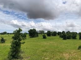 400tr Phan Hiệp 2500m2, cách biển 5km, sổ cầm tay.