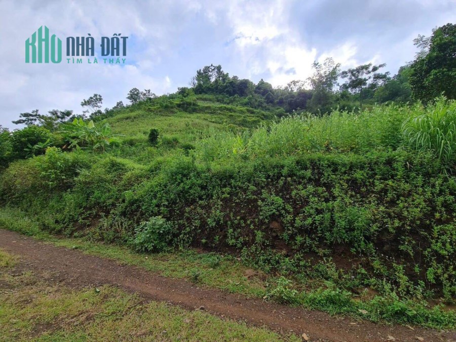 Cần bán lô đất 5400m có 400tc  giá chưa đến 700tr 
