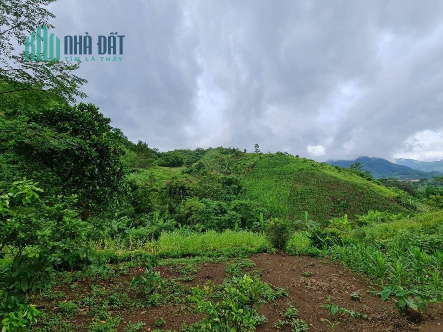 Cần bán lô đất 5400m có 400tc  giá chưa đến 700tr 