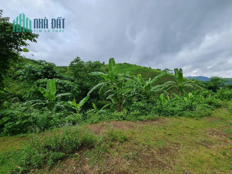 Cần bán lô đất 5400m có 400tc  giá chưa đến 700tr 