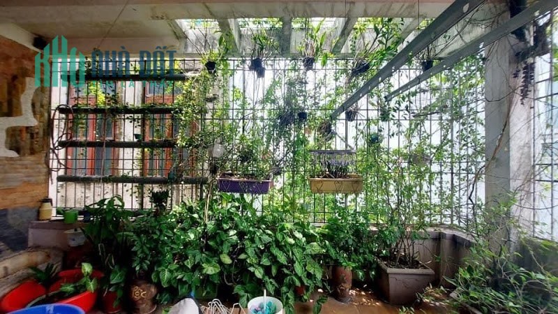 Bán gấp nhà Phố Trần Hữu Tước, Đống Đa, 42m2, 5 tầng, MT5.2m, 4tỷ2