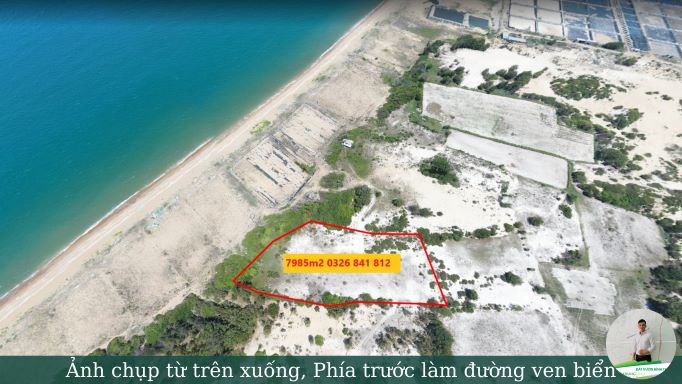 Đất mặt biển Hòa Thắng SHR diện tích 7985m2