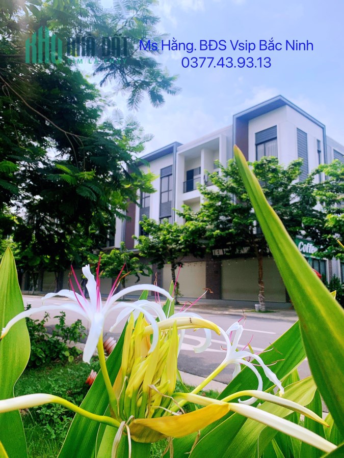 Cần bán gấp nhà trong khu đô thị xanh Vsip-Từ Sơn-Bắc Ninh SDCC