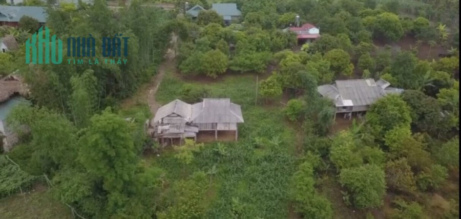 Bán đất tại Đông Sang - Mộc Châu - đã có sẵn nhà sàn để làm Homestay