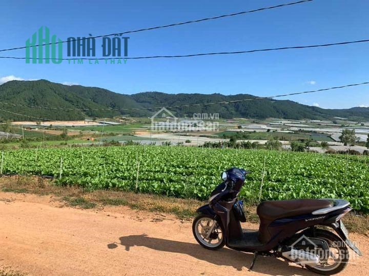 Chỉ với 450tr sở hữu ngay lô đất diện tích 500m2 tại Ka Đơn, Đơn Dương, Lâm Đồng 0909810489
