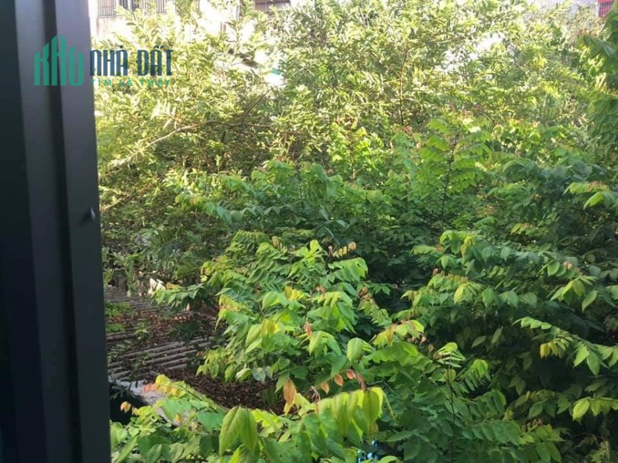 Bán Nhà Nguyễn Chính 90M, MT 5m, giá chào 5,3 tỷ