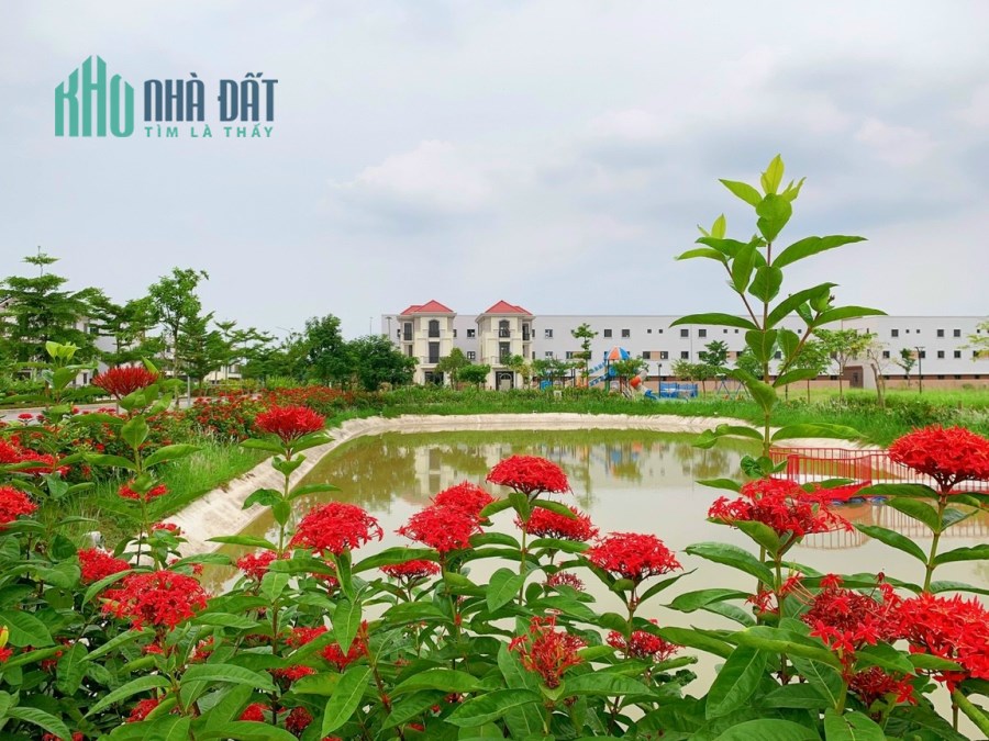 Chính chủ bán Biệt Thự giá rẻ từ 29tr/m2; Sổ đỏ trọn đời, LH 0989 588 190