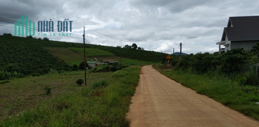 Bán đất gần khu biệt thự nghỉ dưỡng cao cấp thuộc Nam Ban giáp Đà LẠT