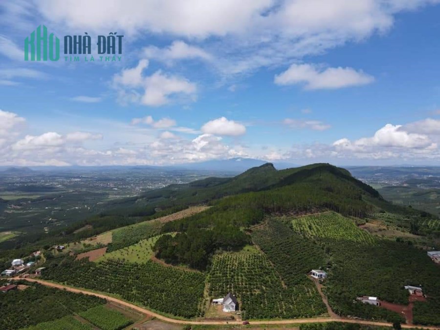 Bán đất gần khu biệt thự nghỉ dưỡng cao cấp thuộc Nam Ban giáp Đà LẠT
