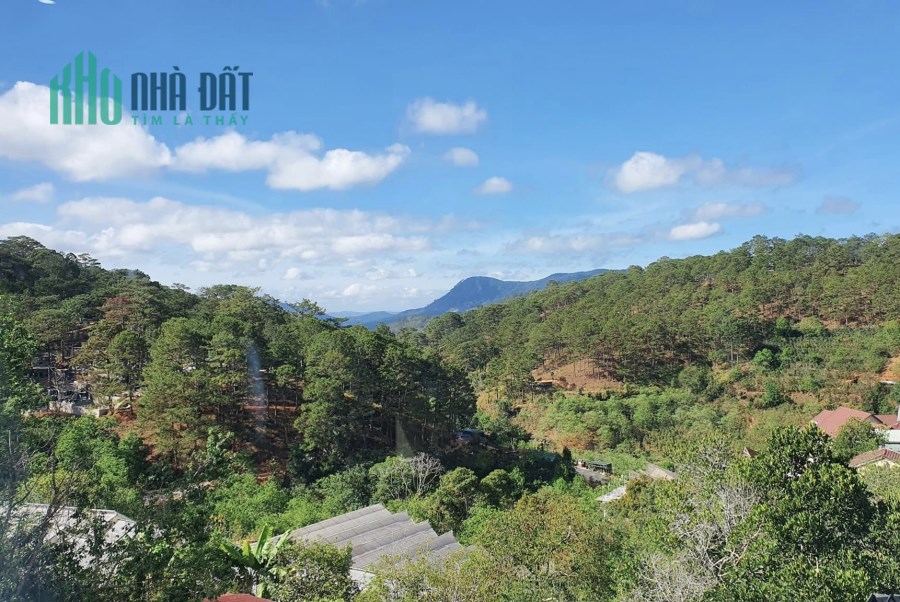 Bán Villa 407M2 giá 18tỷ5 ở Đà Lạt View rừng thông đẹp nhất nhì Đà Lạt