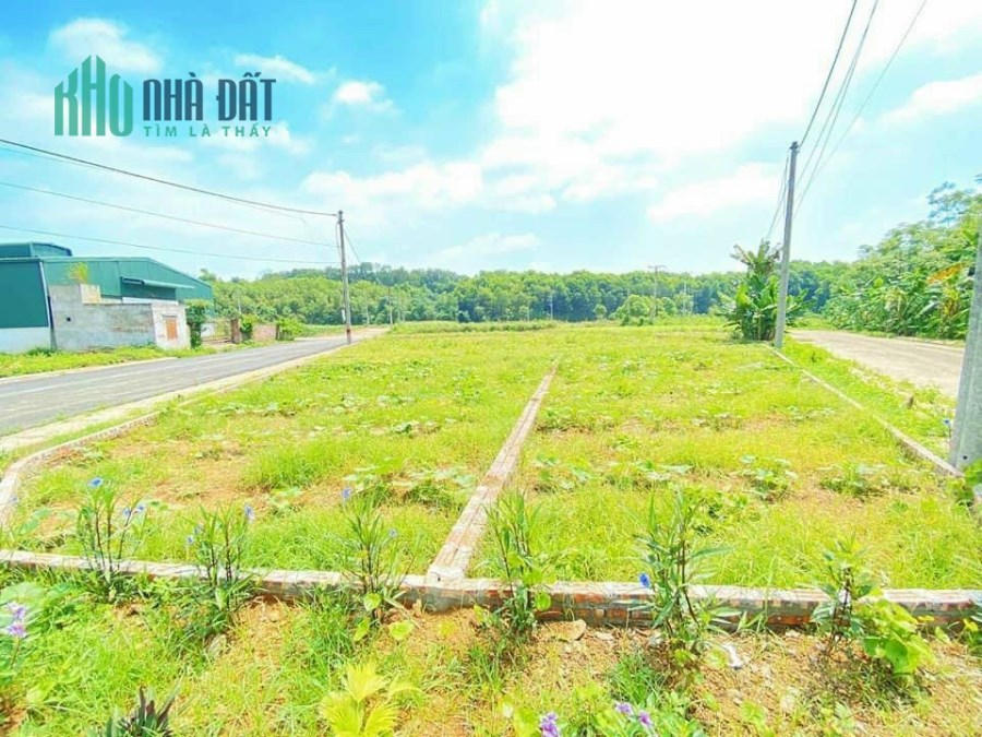 Chính chủ cần tiền bán gấp 116m2 đất tái định cư Đồng Doi sát Hòa lạc hà Nội